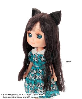 PetWORKs Store 着せ替え人形 momoko, ruruko, 六分の一男子図鑑