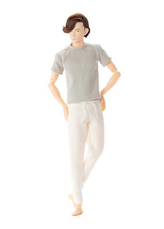 六分の一男子図鑑 B2109 ナイン - PetWORKs Store