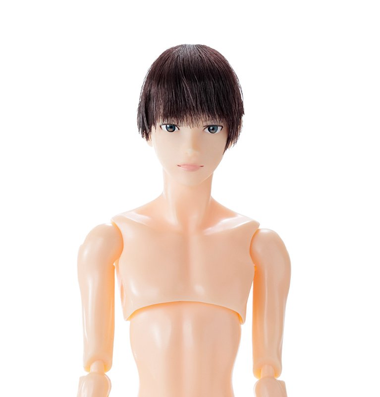 【新品】 Smart Kids 1-6巻セット 六分の一男子図鑑 B2312 エイト - PetWORKs Store
