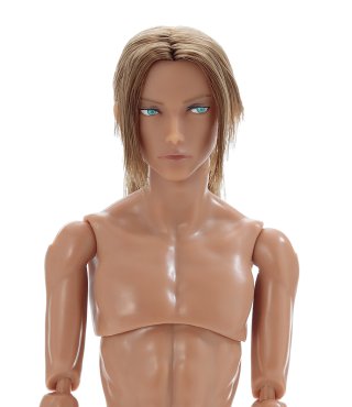 PetWORKs Store 着せ替え人形 momoko, ruruko, 六分の一男子図鑑