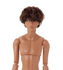 画像1: 六分の一男子図鑑　B2508 エイト (1)