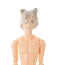 画像1: 六分の一男子図鑑　B2512 エイト (1)