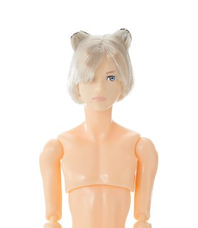 六分の一男子図鑑（28-29cmドール） - PetWORKs Store (Page 1)