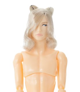 六分の一男子図鑑（28-29cmドール） - PetWORKs Store (Page 1)