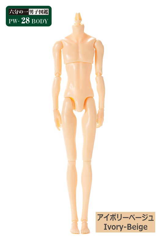8LOOM各種グッズ(オーダーページ) 六分の一男子図鑑 PW-28BODY アイボリーベージュ - PetWORKs Store