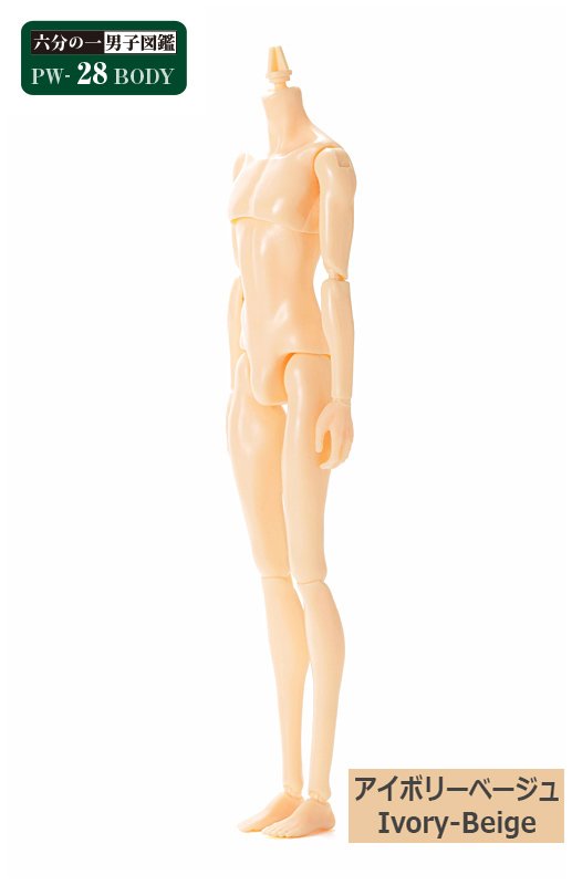 六分の一男子図鑑 PW-28BODY アイボリーベージュ - PetWORKs Store