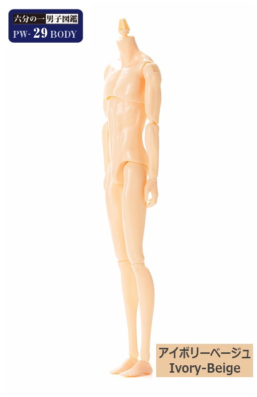 六分の一男子図鑑 本体のみ② 六分の一男子図鑑 PW-29BODY アイボリーベージュ - PetWORKs Store
