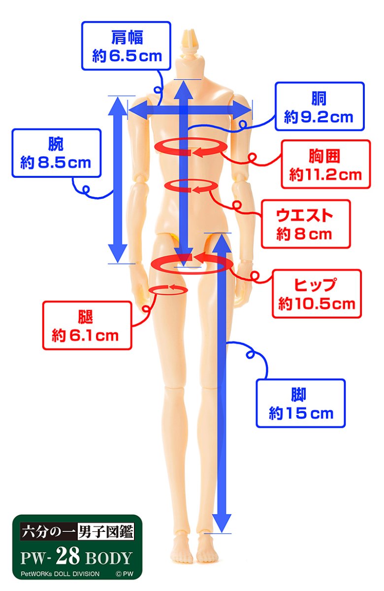 画像6: 六分の一男子図鑑　PW-28BODY アイボリーベージュ (6)