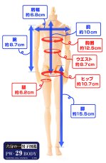 画像6: 六分の一男子図鑑　PW-29BODY アイボリーベージュ (6)