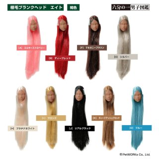 六分の一男子図鑑　カスタムヘッド＊ボディ付き Yahoo!オークション - 1/6ドール カスタムヘッド PetWORKs 六分