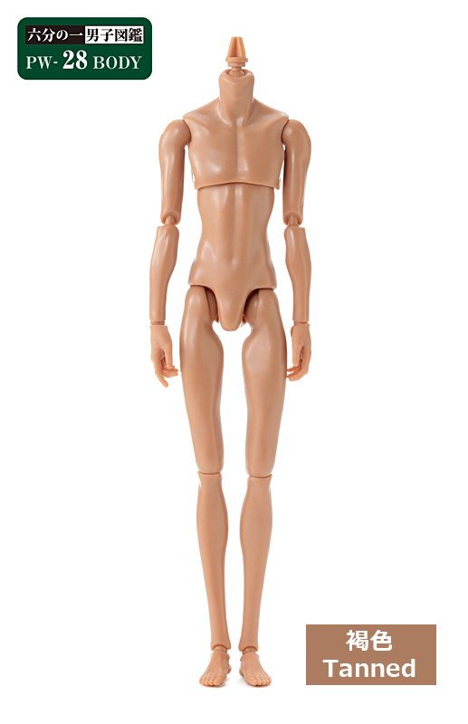六分の一男子図鑑　本体のみ① 六分の一男子図鑑 B2508 エイト / ナイン」発売 | Information
