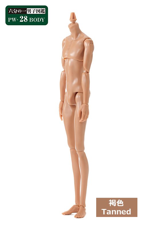 六分の一男子図鑑　本体のみ② 六分の一男子図鑑 B2403 ナイン - PetWORKs Store