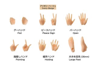 六分の一男子図鑑（28-29cmドール） - PetWORKs Store (Page 1)