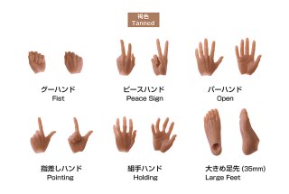六分の一男子図鑑（28-29cmドール） - PetWORKs Store (Page 1)