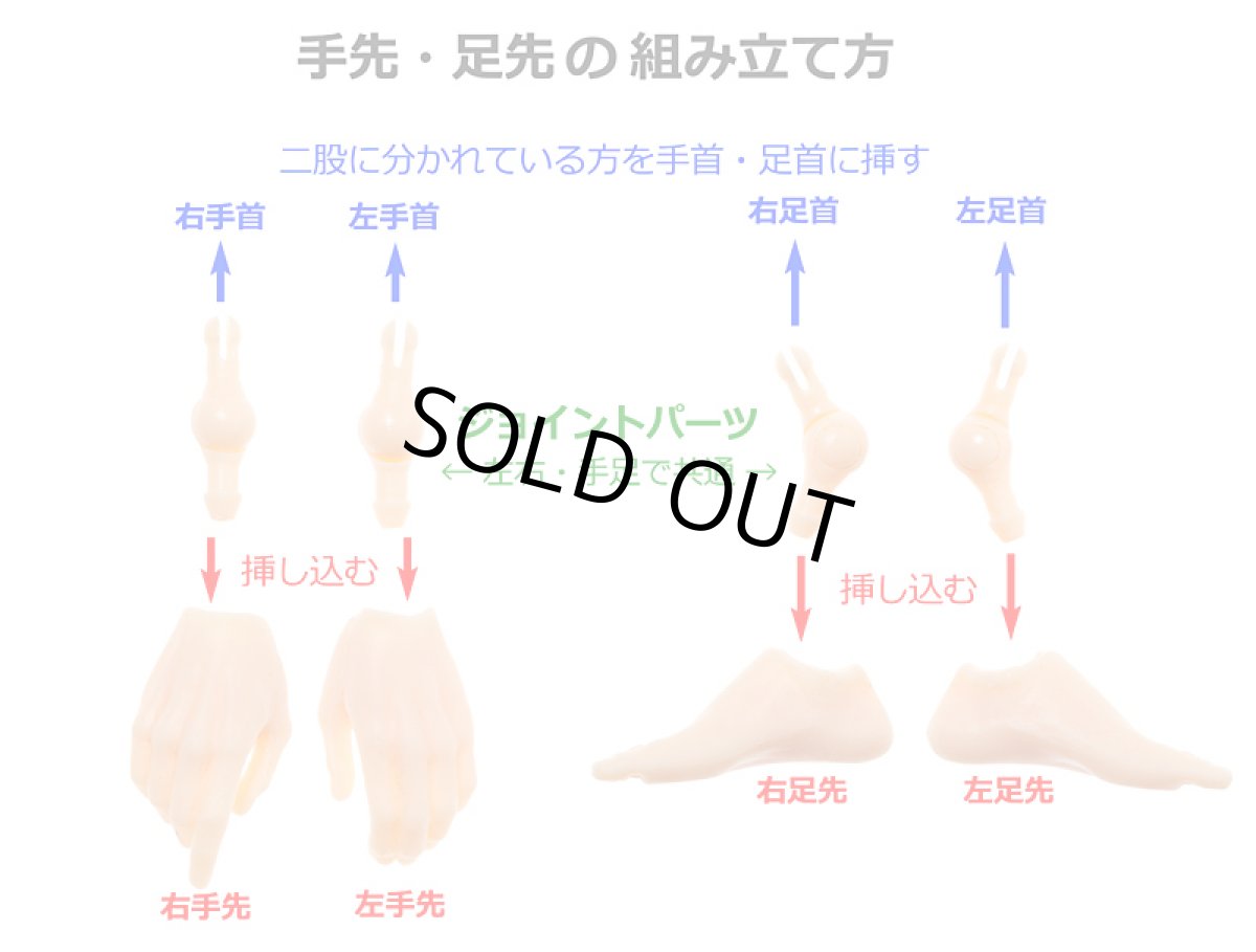 画像14: 六分の一男子図鑑　25VDAY エイト PS (14)