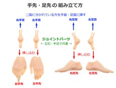 画像3: 六分の一男子図鑑　PW-28/29BODYジョイントパーツ2個入 (3)