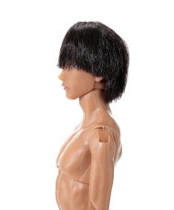 画像6: 六分の一男子図鑑 25干支 巳 ナイン PS (6)