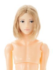 画像7: 六分の一男子図鑑 ボタニカル エイト (7)