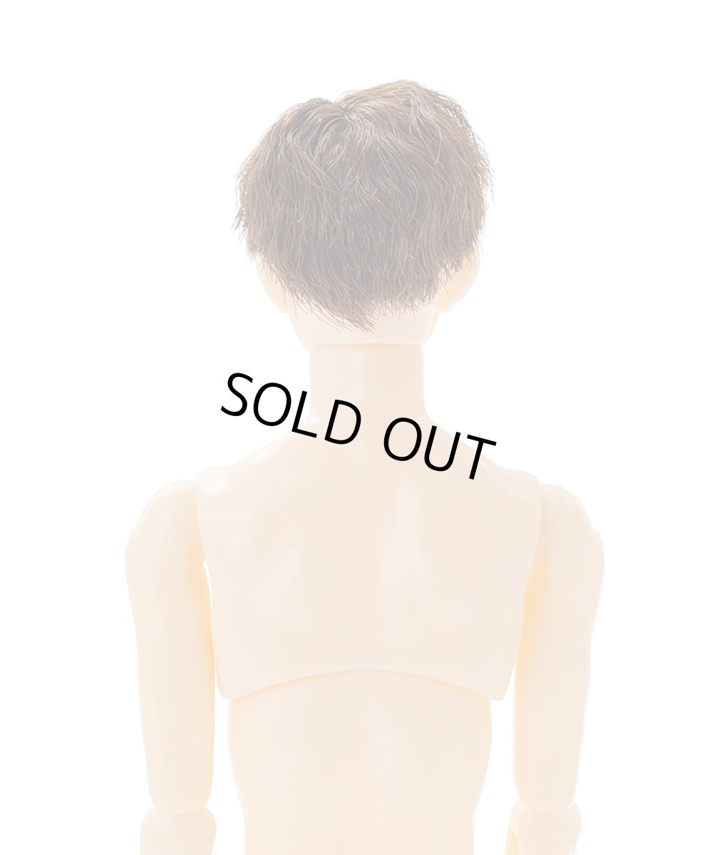 画像9: 六分の一男子図鑑 カジュアルテック ナイン (9)