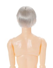 画像7: 六分の一男子図鑑 ノームコア ナイン PS (7)