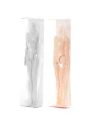 画像2: セキグチ製：momokoDOLL Body MB-03（色白肌） (2)