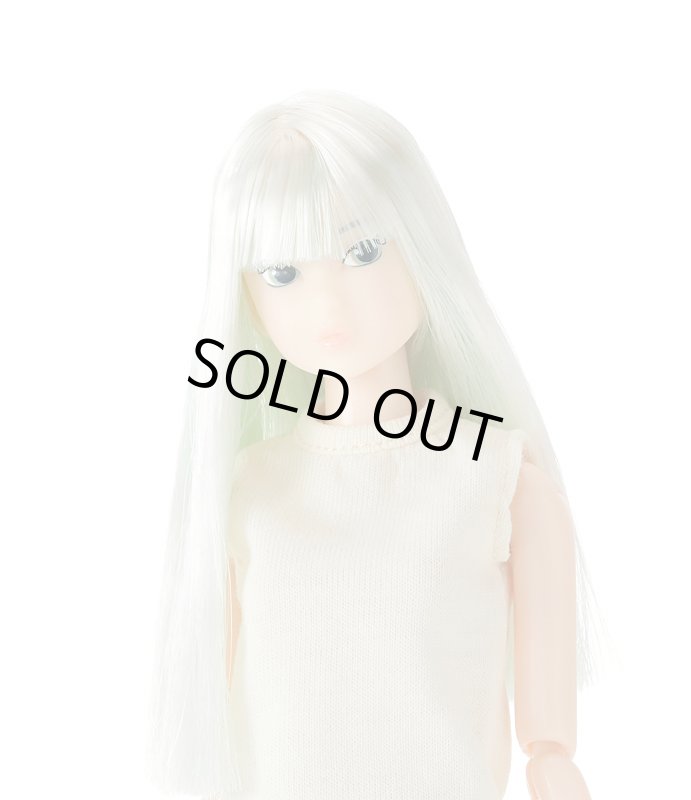 Today's momoko 2402 - PetWORKs Store