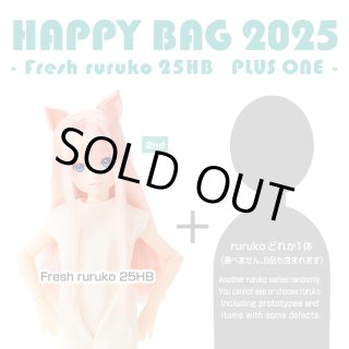PetWORKs Store 着せ替え人形 momoko, ruruko, 六分の一男子図鑑