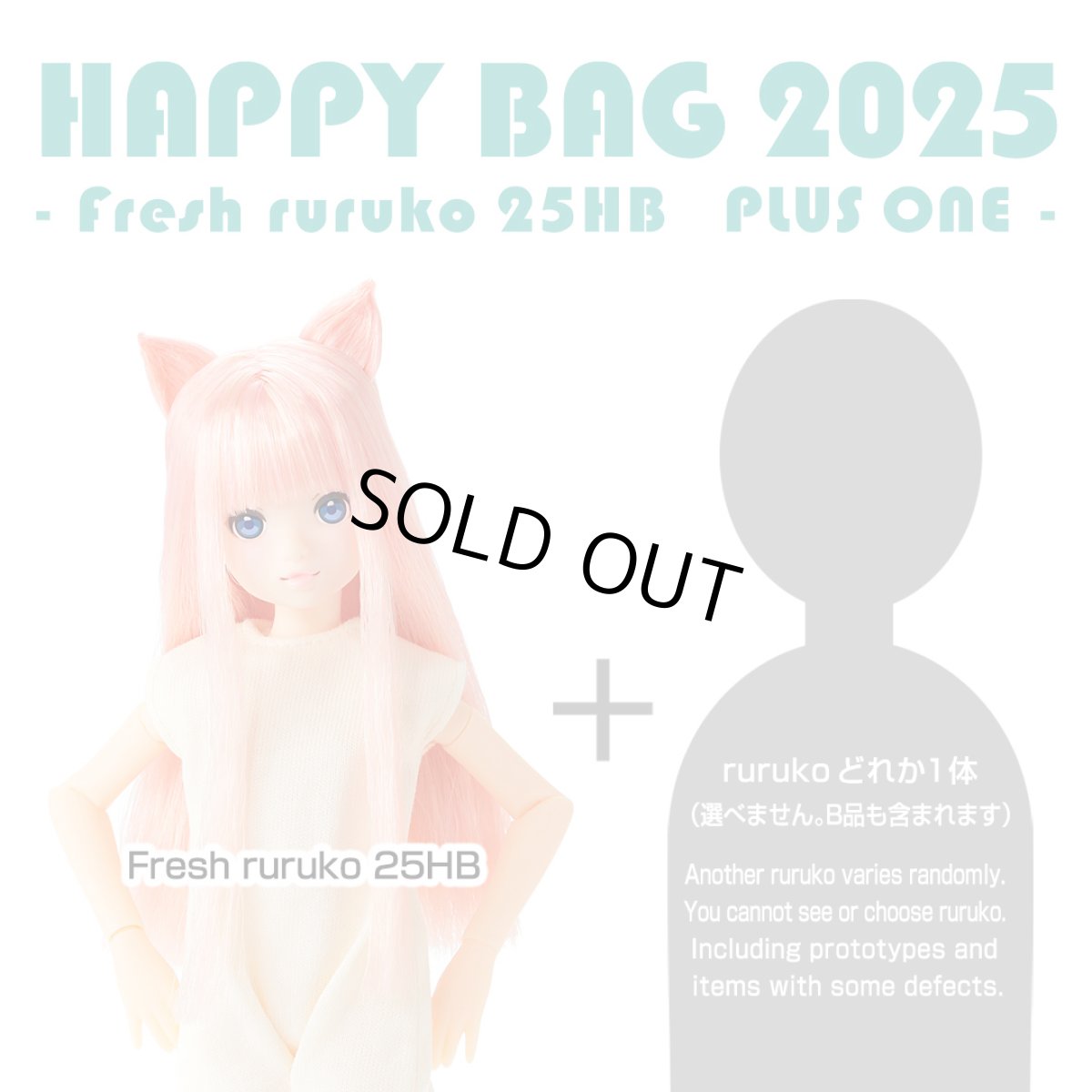 画像1: ★同梱不可★HAPPY BAG 2025 -Fresh ruruko 25HB PLUS ONE-【送料無料】 (1)