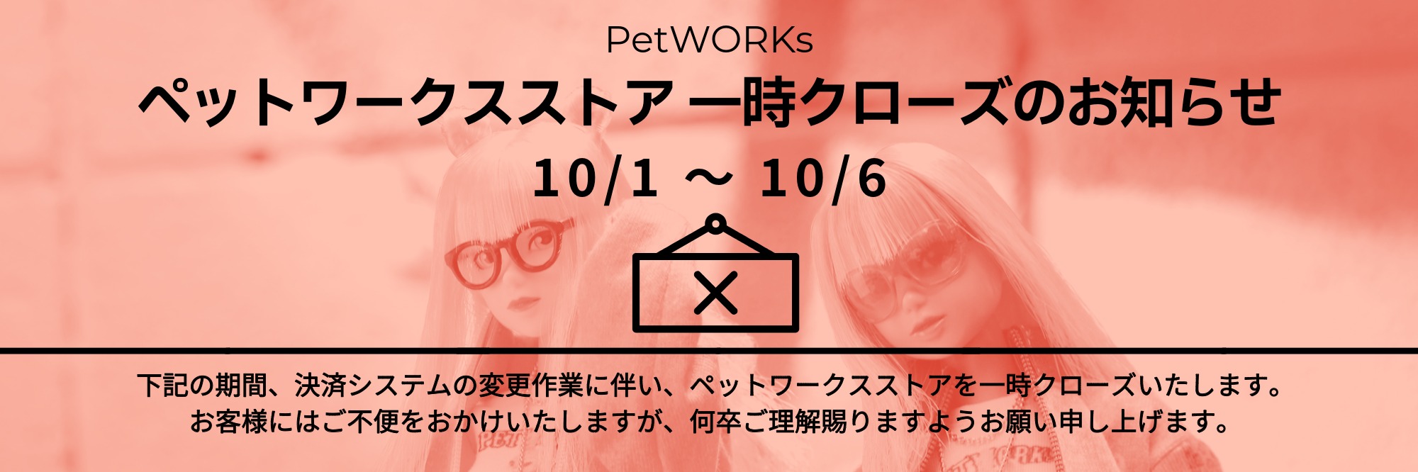 PetWORKs Store 着せ替え人形 momoko, ruruko, 六分の一男子図鑑