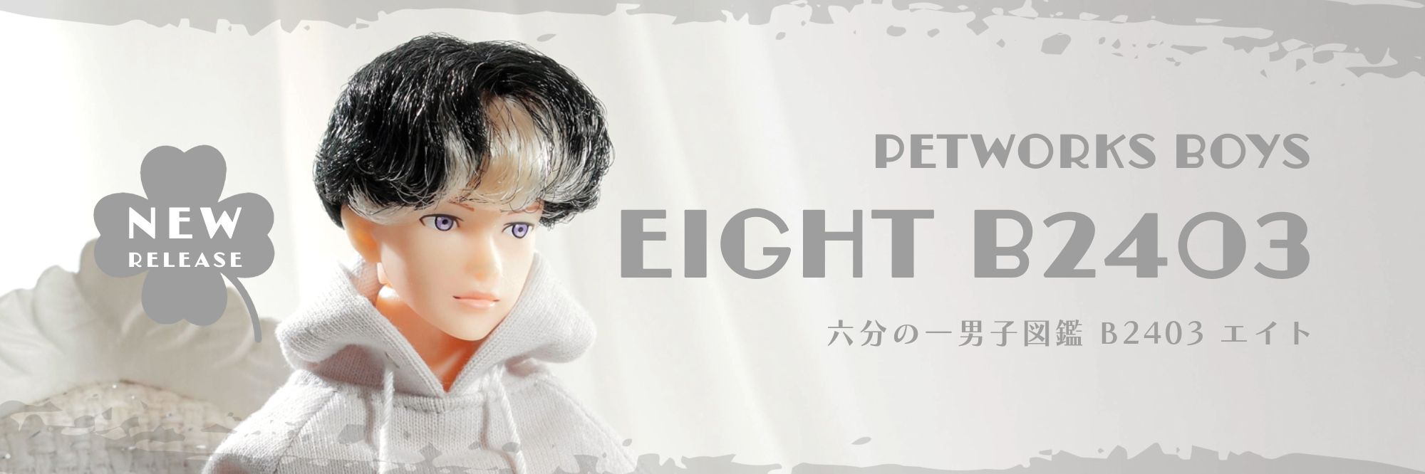 PetWORKs Store 着せ替え人形 momoko, ruruko, 六分の一男子図鑑