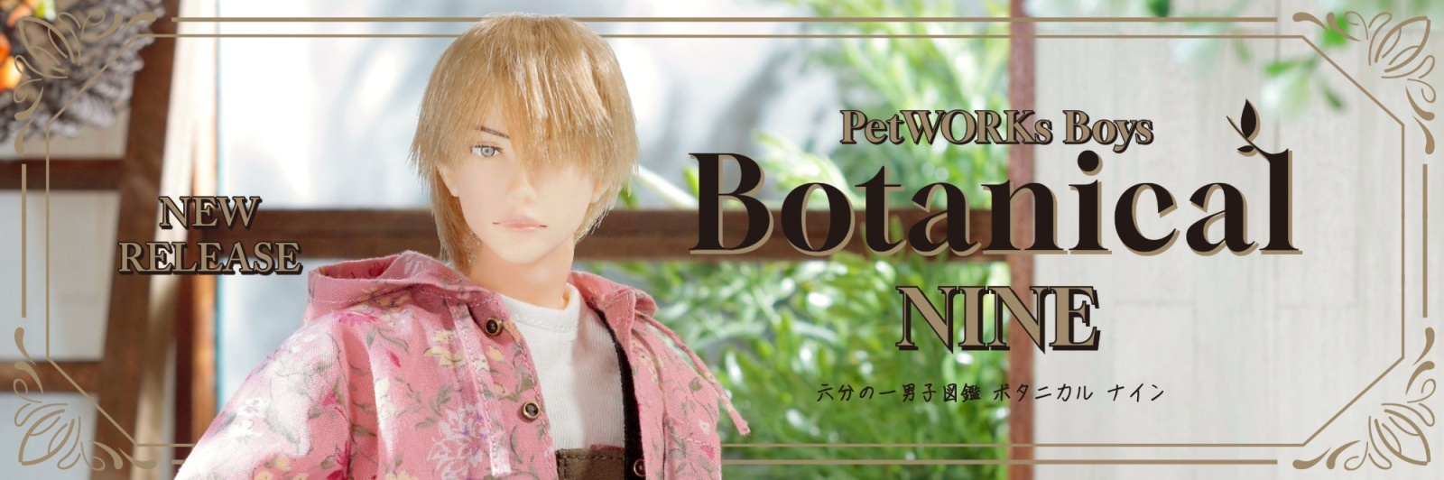 PetWORKs Store 着せ替え人形 momoko, ruruko, 六分の一男子図鑑