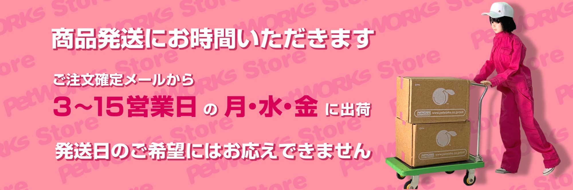 PetWORKs Store 着せ替え人形 momoko, ruruko, 六分の一男子図鑑