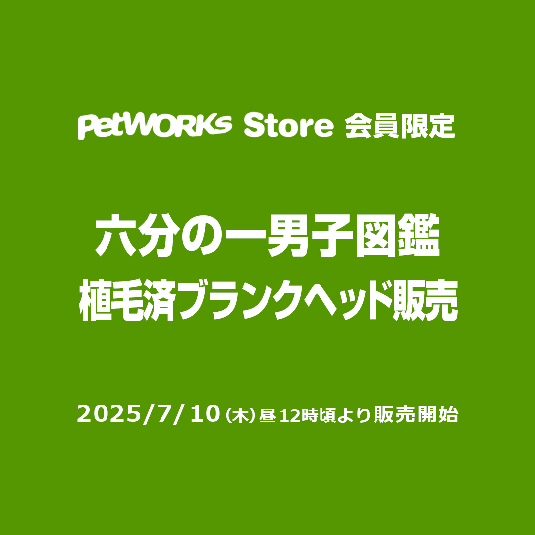 【ストア会員限定】7月10日入庫「六分の一男子図鑑植毛済ブランクヘッド」