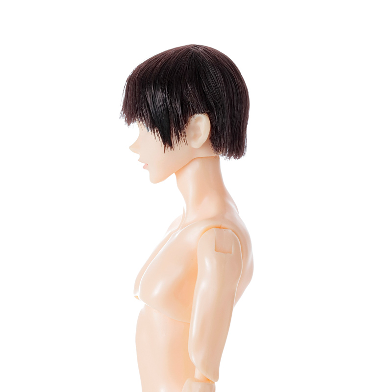 定番人気SALE六分の一男子図鑑　B2010　エイト　未使用　petWorks doll momoko